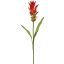 GINGER LILY 70CM RED