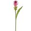 GINGER LILY 75CM PINK