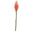 GINGER LILY 85CM ORANGE