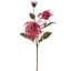 SPIDER MUM SPRAY 70CM BEAUTY