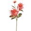 SPIDER MUM SPRAY 70CM CORAL