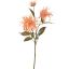 SPIDER MUM SPRAY 70CM PEACH