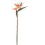 BIRD OF PARADISE 85CM ORANGE