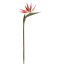 BIRD OF PARADISE 85CM RED
