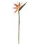 BIRD OF PARADISE 95CM ORANGE