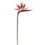 BIRD OF PARADISE 95CM RED