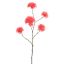 TABEBUIA TRUMPET 115CM PINK