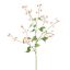 LARGE EPIMEDIUM 115CM PINK