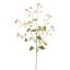 LARGE EPIMEDIUM 115CM YELLOW