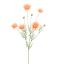SERRURIA 95CM PEACH