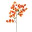 BOUGAINVILLEA 90CM ORANGE