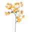 BOUGAINVILLEA 90CM YELLOW