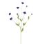CORNFLOWER 90CM BLUE