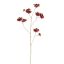 HELENIUM 100CM BURGUNDY