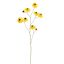 HELENIUM 100CM YELLOW