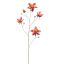 COLUMBINA 104CM BEAUTY