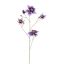 COLUMBINA 104CM BLUE
