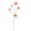 COLUMBINA 104CM LILA