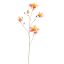 COLUMBINA 104CM PINK