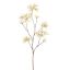 MONARDA FLOWER 115CM CREAM GREEN