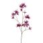 MONARDA FLOWER 115CM PURPLDE