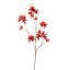 MONARDA FLOWER 115CM RED