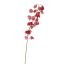 SHIRUI LILY 102CM BEAUTY