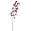 SHIRUI LILY 102CM MAUVE