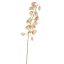 SHIRUI LILY 102CM PINK