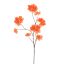 BOUGAINVILLEA 111CM CORAL 