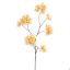 BOUGAINVILLEA 111CM YELLOW