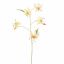 GLORIOSA LILY 106CM PEACH