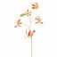 GLORIOSA LILY 106CM RED