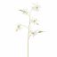 GLORIOSA LILY 106CM WHITE