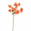 BOUGAINVILLEA 70CM ORANGE