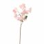 BOUGAINVILLEA 70CM PINK
