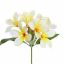 FRANGIPANI 90CM CREAM