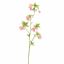 ENKIANTHUS 82CM PINK