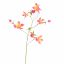 AQUILEGIA SPRAY 104CM BEAUTY