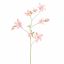 AQUILEGIA SPRAY 104CM PINK