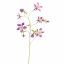 AQUILEGIA SPRAY 104CM PURPLE