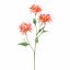 NERINE 70CM RED