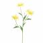 NERINE 70CM YELLOW