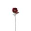 SINGLE SUNFLOWER 70CM RED