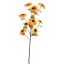 SUNFLOWER 122CM OCRE