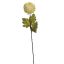 MEDIUM MUM 86CM CREAM