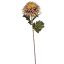 SPIDER MUM 73CM BROWN