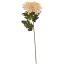 SPIDER MUM 73CM VANILLA