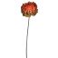 LARGE MUM 69CM ORANGE