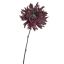 SPIDER MUM 56CM BEAUTY